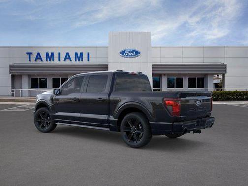 Black Metallic 2026 Ford F-150 STX