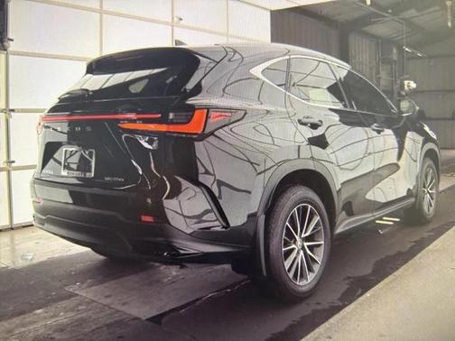 2024 Lexus NX 250 Premium
