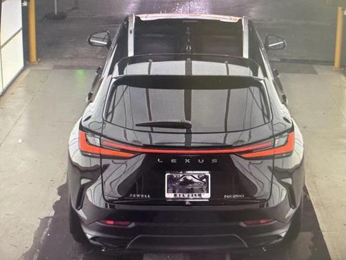 2024 Lexus NX 250 Premium