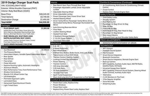 White Knuckle Clearcoat 2019 Dodge Charger R/T Scat Pack