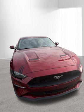 RUBY RED METALLIC TINTED CC 2019 Ford Mustang EcoBoost Premium