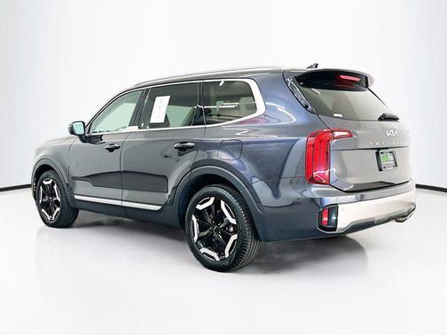 Panthera Metal 2025 Kia Telluride S