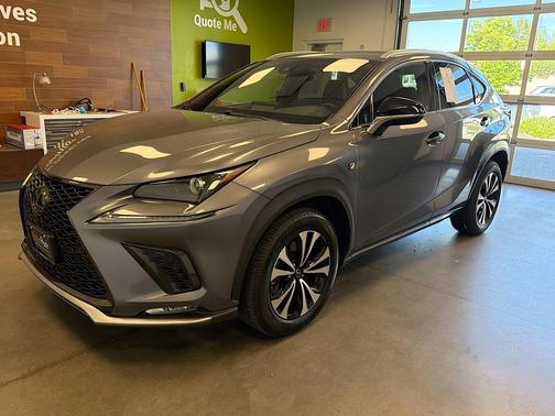 Nebula Gray Pearl 2020 Lexus NX 300 F Sport