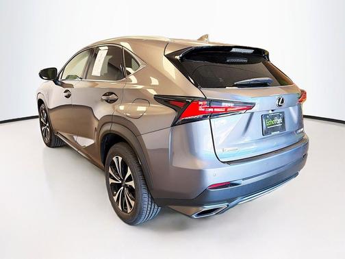 Nebula Gray Pearl 2020 Lexus NX 300 F Sport