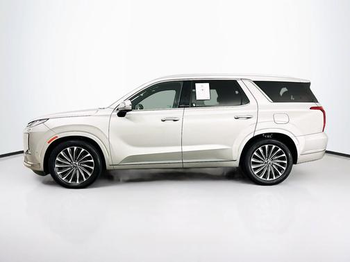 Typhoon Silver 2024 Hyundai PALISADE Calligraphy