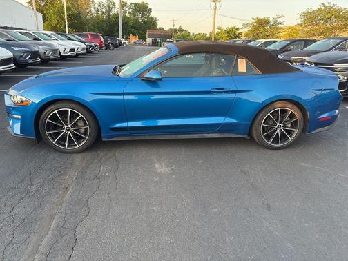 Blue Metallic 2020 Ford Mustang EcoBoost