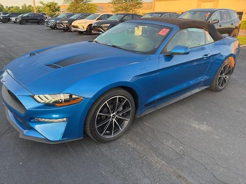 Blue Metallic 2020 Ford Mustang EcoBoost