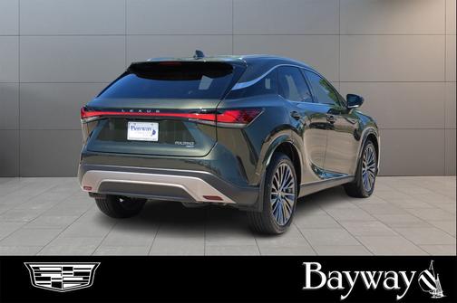 Nori Green Pearl 2025 Lexus RX 350 Luxury