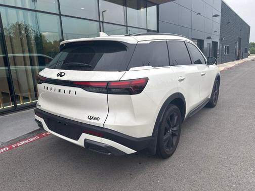 Majestic White 2025 INFINITI QX60 Luxe