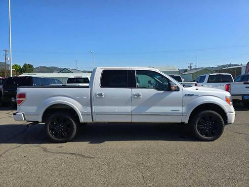 2012 Ford F-150 Platinum