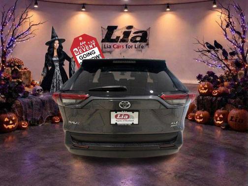 Magnetic Gray Metallic 2025 Toyota RAV4 XLE