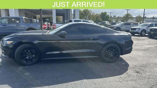 SHADOW BLACK 2017 Ford Mustang GT