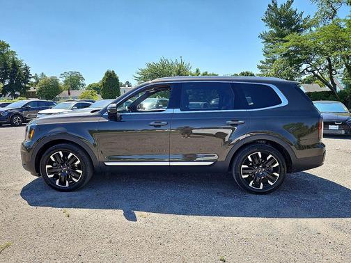 Dark Moss 2024 Kia Telluride SX Prestige
