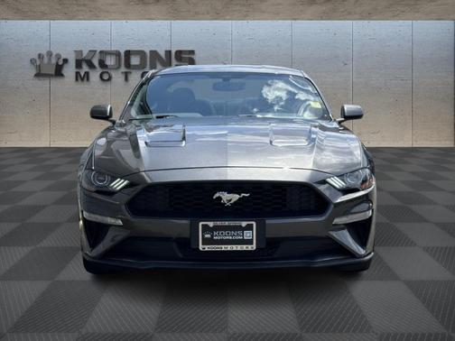 2019 Ford Mustang EcoBoost