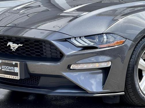 2019 Ford Mustang EcoBoost
