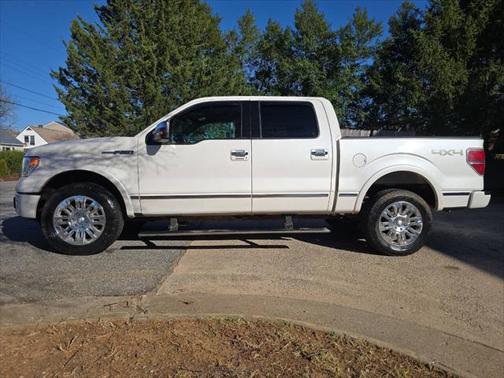2013 Ford F-150 Platinum