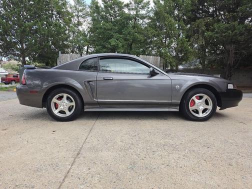 Pewter 2004 Ford Mustang Base