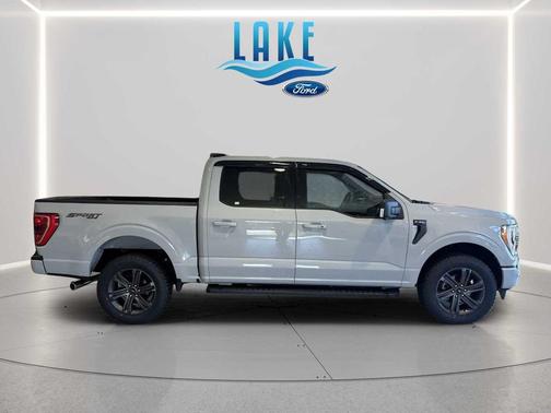 AVALANCHE 2023 Ford F-150 XLT