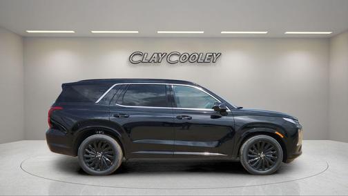 Abyss Black Pearl 2025 Hyundai PALISADE Calligraphy Night Edition