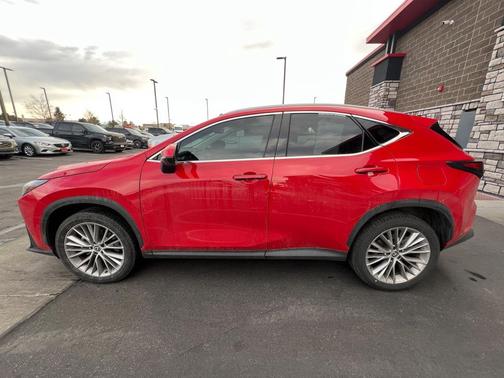 2024 Lexus NX 350h Luxury