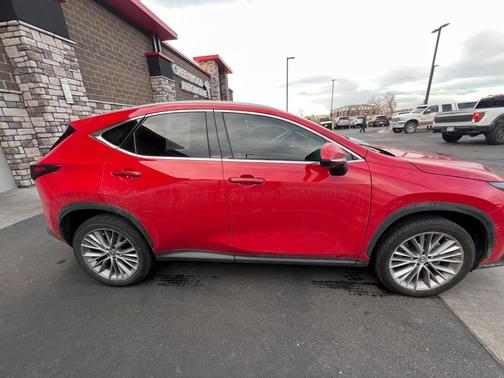 2024 Lexus NX 350h Luxury