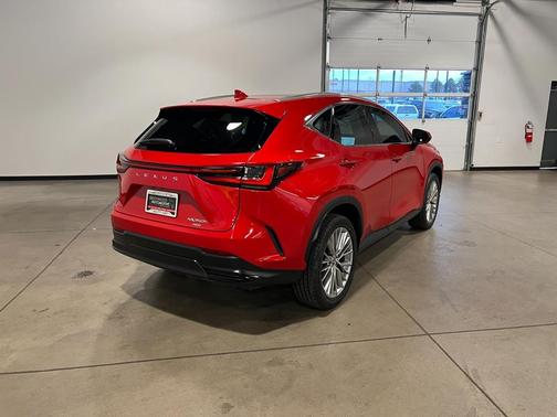 2024 Lexus NX 350h Luxury