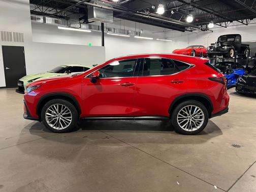 2024 Lexus NX 350h Luxury