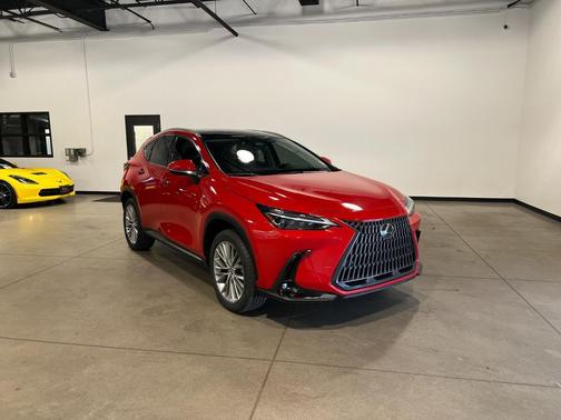 2024 Lexus NX 350h Luxury