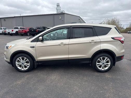 White Gold Metallic 2017 Ford Escape SE