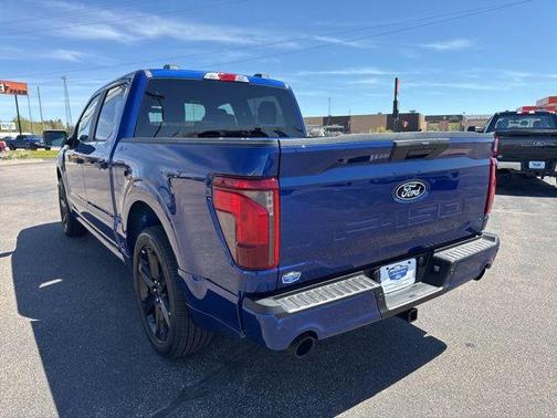 Argon 2026 Ford F-150 STX