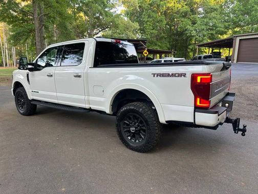 White Metallic 2020 Ford F-250 Platinum