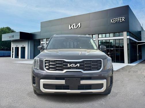 Panthera Metal 2025 Kia Telluride S