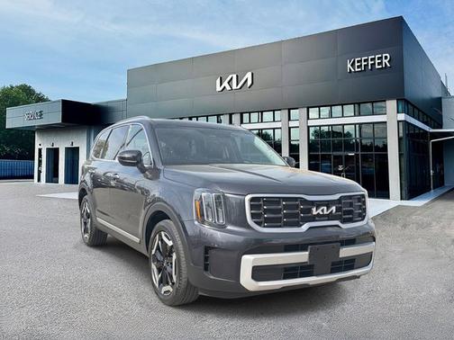 Panthera Metal 2025 Kia Telluride S