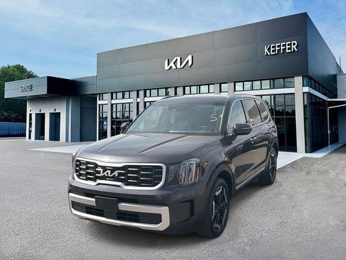 Panthera Metal 2025 Kia Telluride S