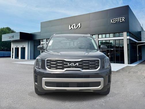 Panthera Metal 2025 Kia Telluride S
