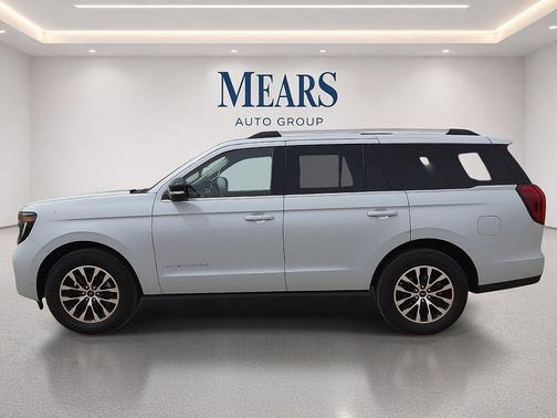SPACE SILVER METALLIC 2025 Ford Expedition Platinum