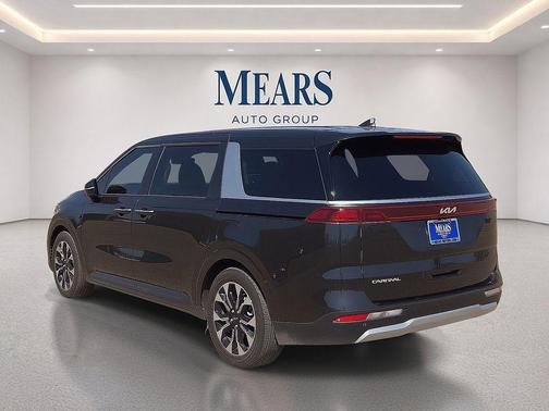 Panthera Metal 2024 Kia Carnival EX