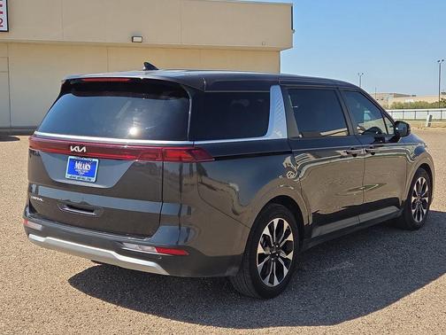 Panthera Metal 2024 Kia Carnival EX