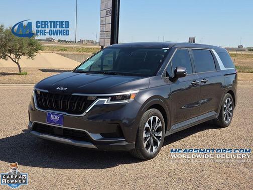 Panthera Metal 2024 Kia Carnival EX