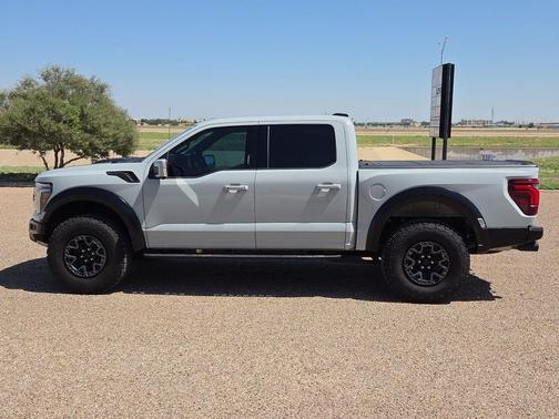 Avalanche 2024 Ford F-150 Raptor