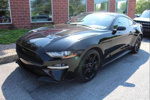 Shadow Black 2019 Ford Mustang EcoBoost