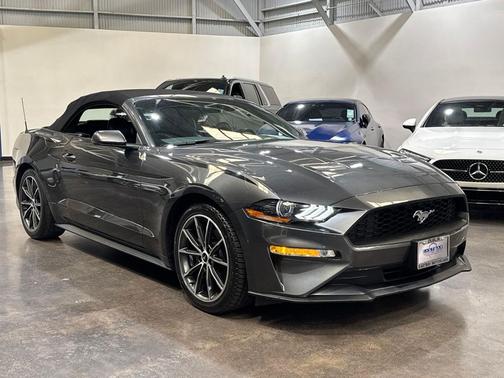 Magnetic 2019 Ford Mustang EcoBoost Premium