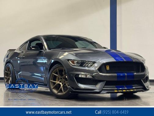 Magnetic 2016 Ford Shelby GT350 Base