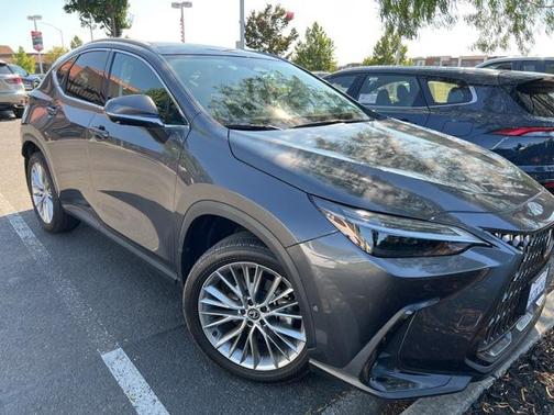2024 Lexus NX 350h Luxury