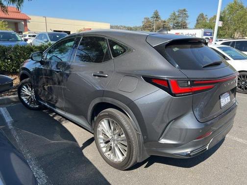 2024 Lexus NX 350h Luxury
