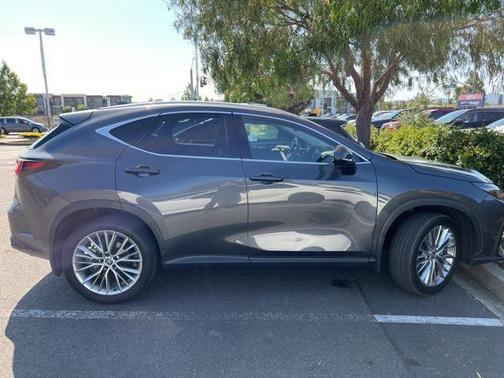 2024 Lexus NX 350h Luxury