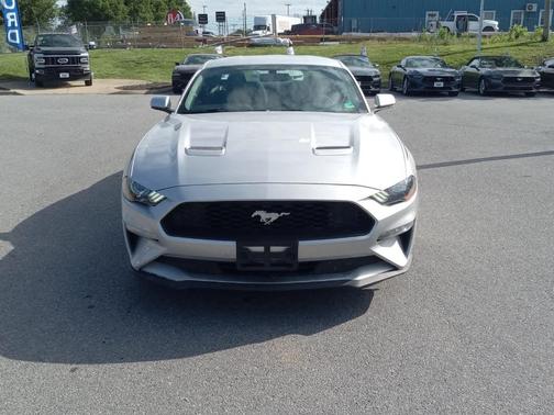 Ingot Silver 2019 Ford Mustang EcoBoost