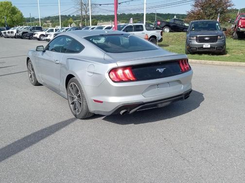 Ingot Silver 2019 Ford Mustang EcoBoost