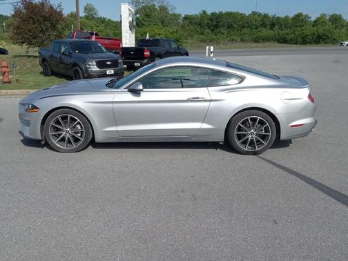 Ingot Silver 2019 Ford Mustang EcoBoost