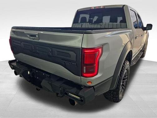 Ingot Silver 2019 Ford F-150 Raptor